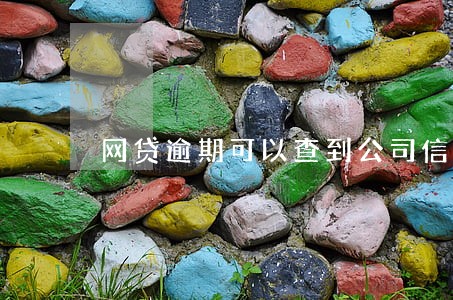 网贷逾期可以查到公司信息么
