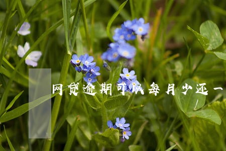 网贷逾期可以每月少还一点吗 网贷逾期可以每月少还一点吗