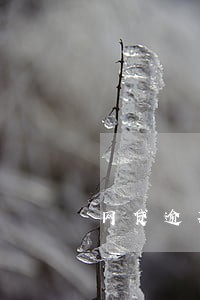 网贷逾期可以每次还一点吗 网贷逾期可以每次还一点吗