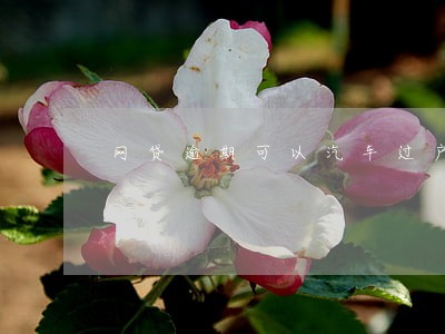网贷逾期可以汽车过户 网贷逾期可以汽车过户