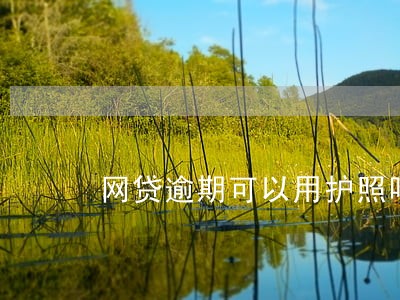 网贷逾期可以用护照吗