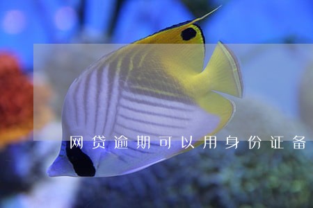 网贷逾期可以用身份证备案吗 网贷逾期可以用身份证备案吗