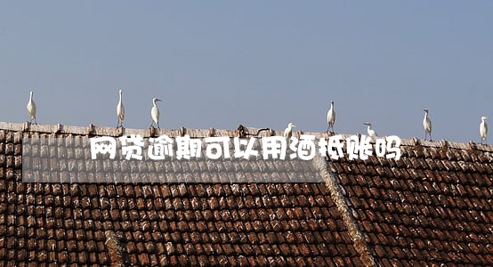 网贷逾期可以用酒抵账吗 网贷逾期可以用酒抵账吗