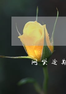网贷逾期可以申请停息挂账 网贷逾期可以申请停息挂账