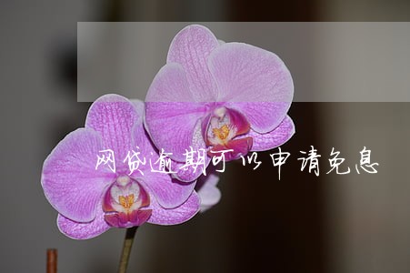 网贷逾期可以申请免息 网贷逾期可以申请免息