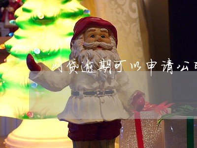 网贷逾期可以申请公司法人代表不 网贷逾期可以申请公司法人代表不