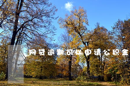 网贷逾期可以申请公积金