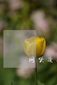 网贷逾期可以申请支付令吗 网贷逾期可以申请支付令吗