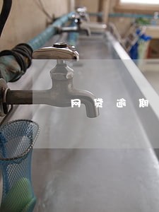 网贷逾期可以申请最低还款吗 网贷逾期可以申请最低还款吗