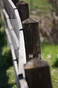 网贷逾期可以申请的信用卡 网贷逾期可以申请的信用卡