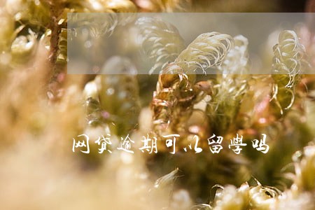 网贷逾期可以留学吗