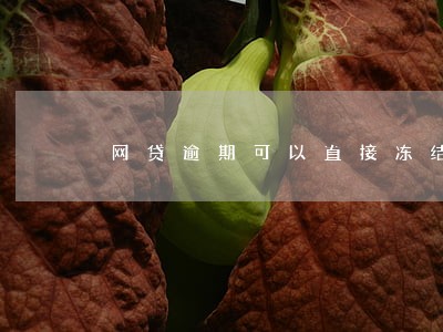 网贷逾期可以直接冻结银行卡吗 网贷逾期可以直接冻结银行卡吗