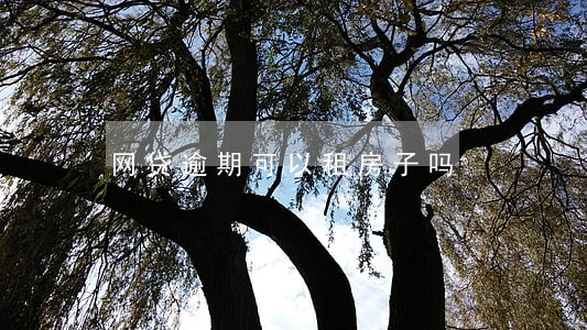 网贷逾期可以租房子吗 网贷逾期可以租房子吗