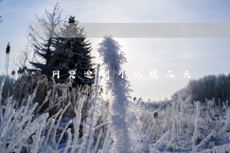 网贷逾期可以缓几天 网贷逾期可以缓几天