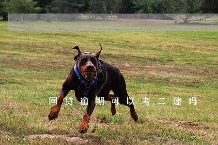 网贷逾期可以考二建吗