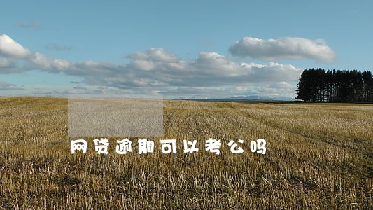 网贷逾期可以考公吗