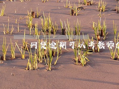 网贷逾期可以考教师编 网贷逾期可以考教师编