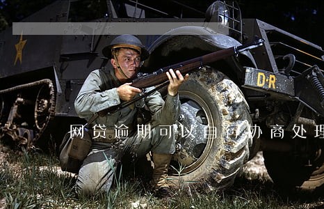 网贷逾期可以自行协商处理吗 网贷逾期可以自行协商处理吗