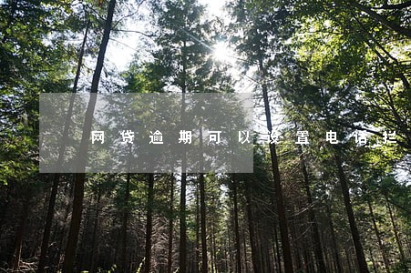 网贷逾期可以设置电话拦截吗 网贷逾期可以设置电话拦截吗