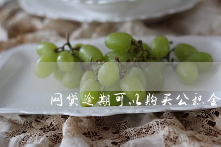 网贷逾期可以购买公积金吗 网贷逾期可以购买公积金吗