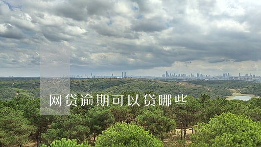 网贷逾期可以贷哪些 网贷逾期可以贷哪些