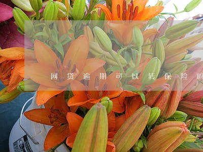 网贷逾期可以转保险吗 网贷逾期可以转保险吗