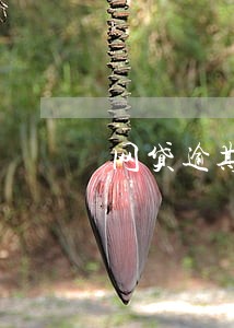 网贷逾期可以转户口么 网贷逾期可以转户口么