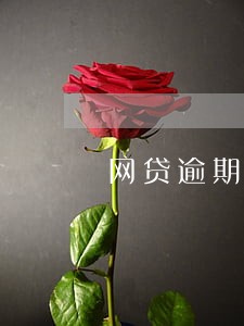 网贷逾期可以还钱吗 网贷逾期可以还钱吗