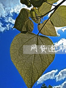 网贷逾期可以通过五险找到人吗 网贷逾期可以通过五险找到人吗