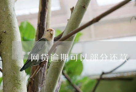 网贷逾期可以部分还款 网贷逾期可以部分还款