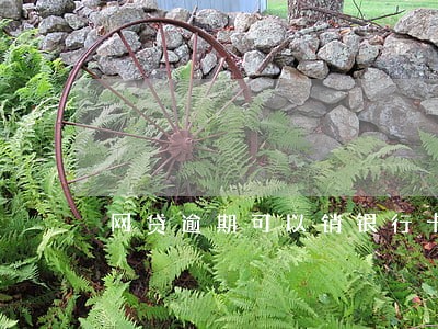 网贷逾期可以销银行卡吗 网贷逾期可以销银行卡吗