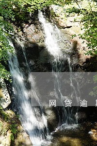 网贷逾期可以领结婚证吗 网贷逾期可以领结婚证吗