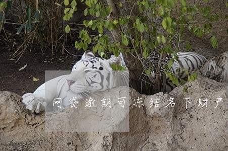 网贷逾期可冻结名下财产吗 网贷逾期可冻结名下财产吗