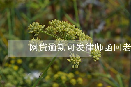网贷逾期可发律师函回老家吗 网贷逾期可发律师函回老家吗