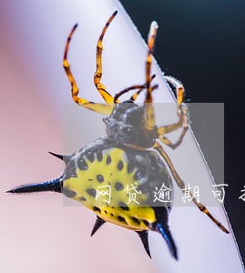 网贷逾期可扣划公积金 网贷逾期可扣划公积金