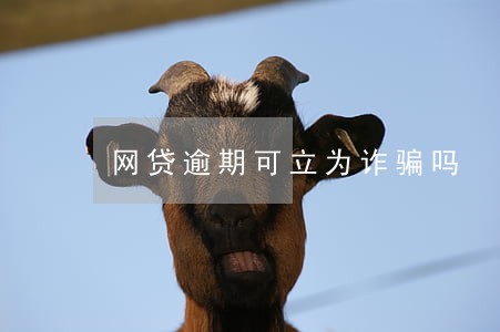 网贷逾期可立为诈骗吗 网贷逾期可立为诈骗吗