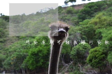 网贷逾期可能去银行贷款呜 网贷逾期可能去银行贷款呜