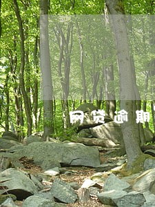 网贷逾期号码拦截 网贷逾期号码拦截