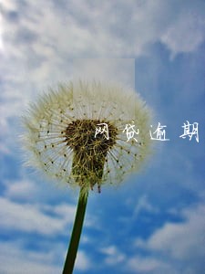 网贷逾期司法仲裁金额怎么算 网贷逾期司法仲裁金额怎么算