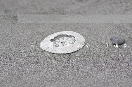 网贷逾期司法会上门调查吗 网贷逾期司法会上门调查吗