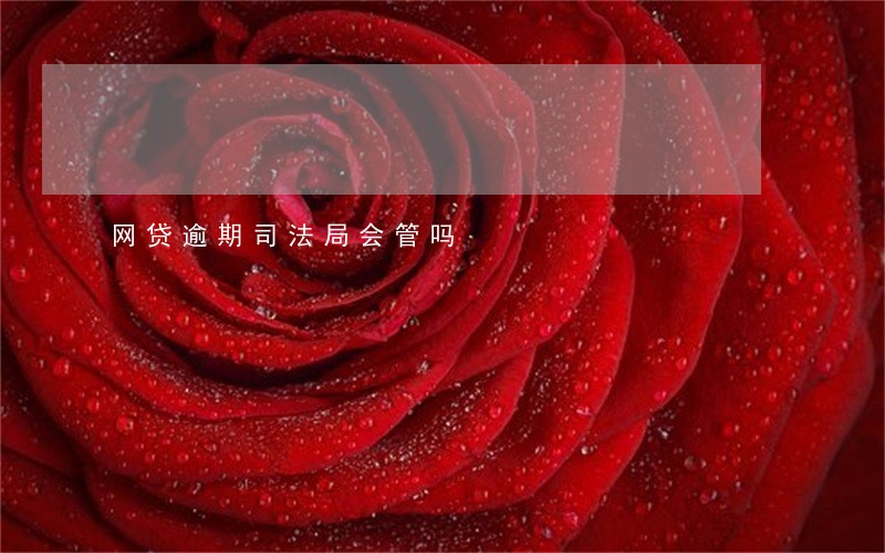 网贷逾期司法局会管吗 网贷逾期司法局会管吗