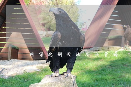 网贷逾期司法所会管吗 网贷逾期司法所会管吗