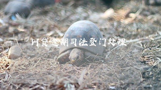 网贷逾期司法登门处理 网贷逾期司法登门处理