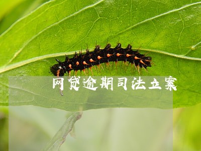 网贷逾期司法立案 网贷逾期司法立案