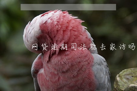 网贷逾期司法能去家访吗 网贷逾期司法能去家访吗