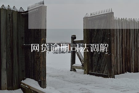 网贷逾期司法调解 网贷逾期司法调解