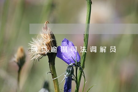 网贷逾期司法调解员 网贷逾期司法调解员
