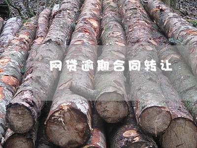 网贷逾期合同转让 网贷逾期合同转让