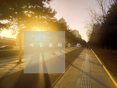 网贷逾期合肥 网贷逾期合肥