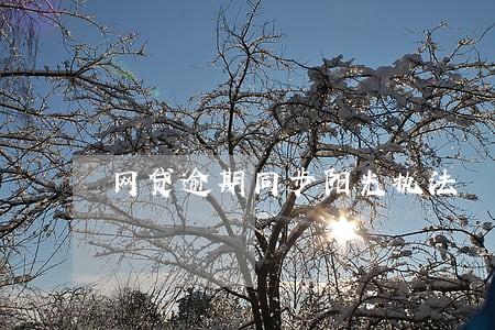 网贷逾期同步阳光执法 网贷逾期同步阳光执法